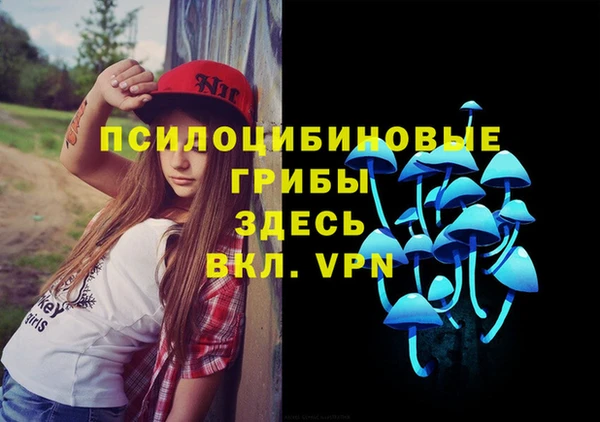 спиды Ачинск