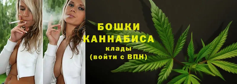 МАРИХУАНА SATIVA & INDICA  где купить наркоту  Каргат 